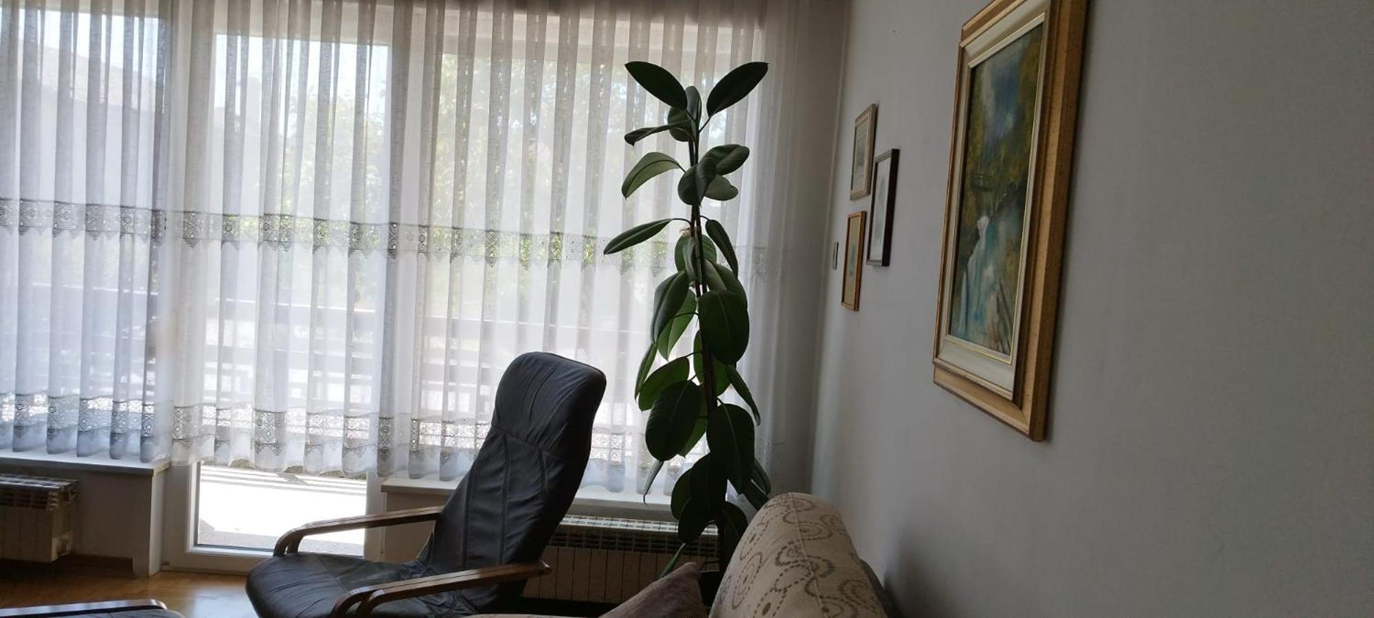 7 Flower Street Apartment Sempeter pri Gorici Eksteriør billede