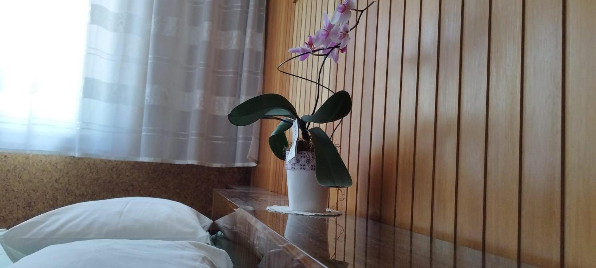 7 Flower Street Apartment Sempeter pri Gorici Eksteriør billede